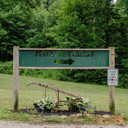 Pine Creek Cabins & Camping Resort South Bloomingville 외부 사진